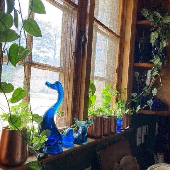 Meet your Posher, Ann - Picture 13 of 17